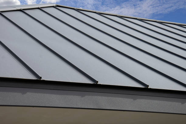 Best Skylight Installation and Repair  in Parkway, CA